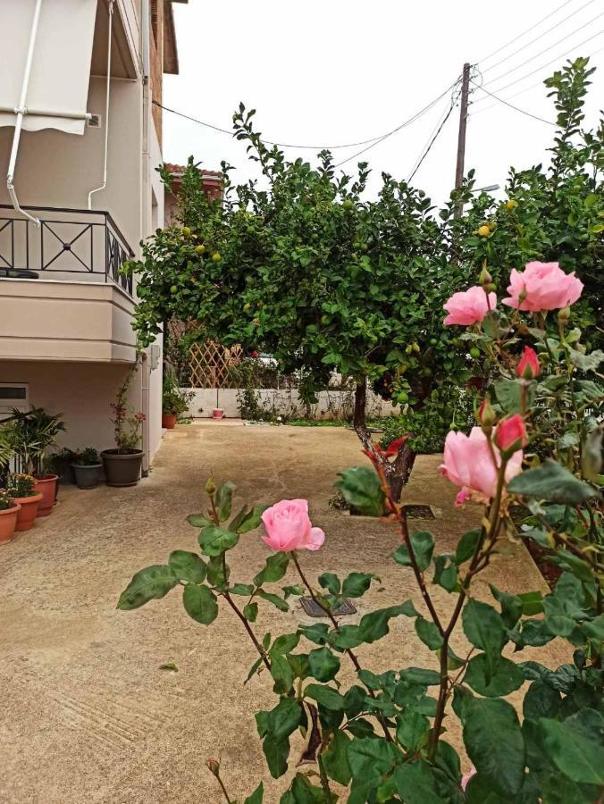 شقة Agathi'S House ميتيكاس المظهر الخارجي الصورة