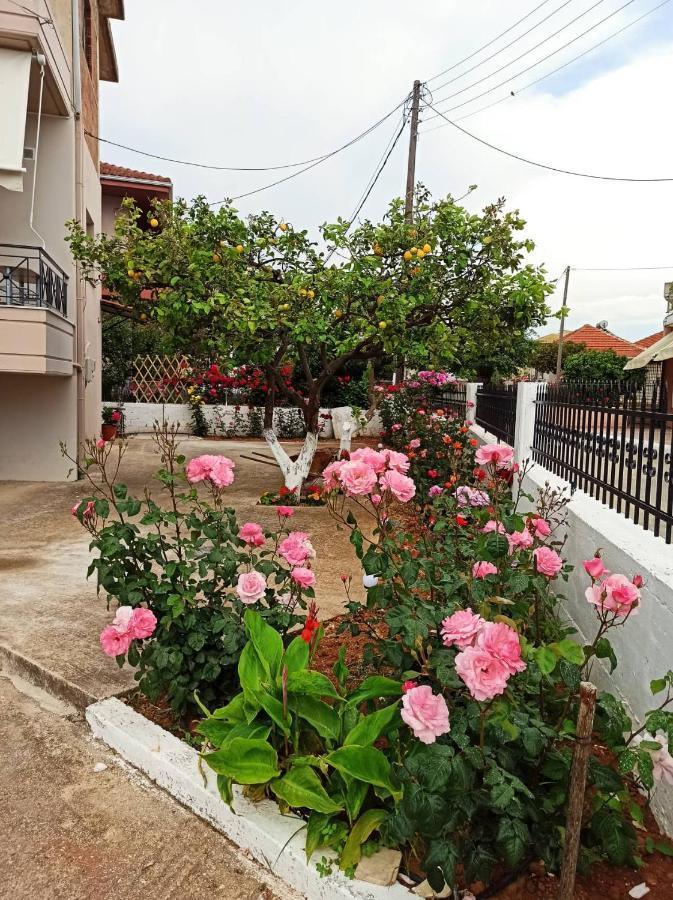 شقة Agathi'S House ميتيكاس المظهر الخارجي الصورة